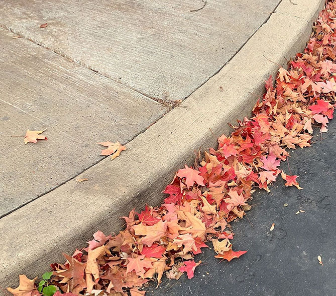 Curved curb with Autumn Leaves    iPhone